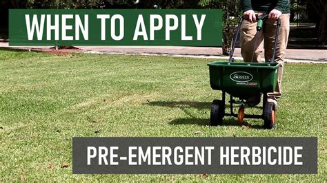 Can You Apply Pre-Emergent and Fertilizer at the Same Time? Exploring the Intersection of Lawn Care and Cosmic Philosophy